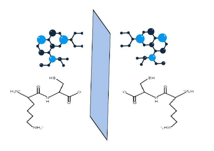 D-amino Acid Peptides