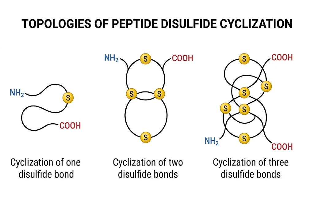 eptide-disulfide-cyclization-structures