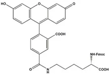 product-217-148