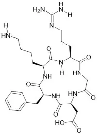 Can RVG29 - Cys be used for protein delivery?