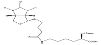 Fmoc-D-Lys(Biotin)-OH