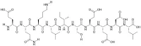 Myc Epitope Peptide