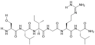 PAR-2 (1-6) Amide (mouse, Rat)