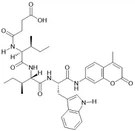 How do peptide substrates behave under space - like conditions?