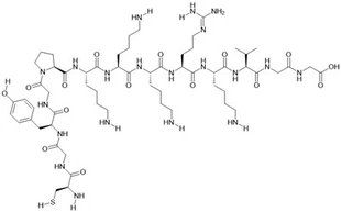 SV40 Nuclear Transport Signal Peptide Analog